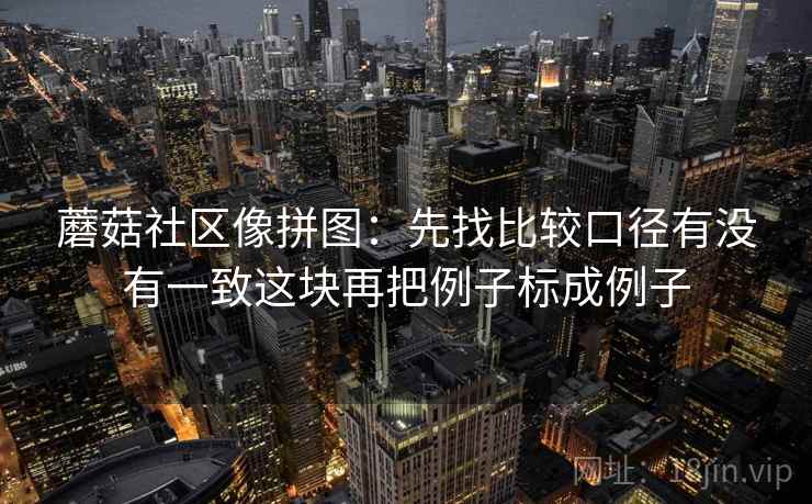 蘑菇社区像拼图:先找比较口径有没有一致这块再把例子标成例子 第2张 蘑菇社区像拼图:先找比较口径有没有一致这块再把例子标成例子 第2张